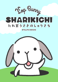 たれ耳うさぎのしゃりきち