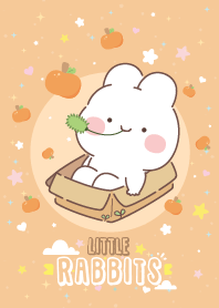 Rabbit Little x Orange