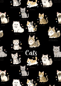 My beloved cat01 black
