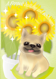 A French bulldog and sunflowers again
