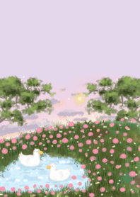 Two pegs in a field of pink flowers