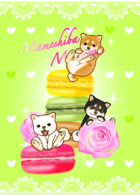 豆柴マカロン2（柴犬、バラ、春）