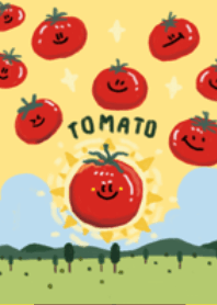 Tomato fresh farm