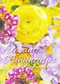 Elegant Ranunculus