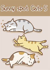 sunny spot cats No.5