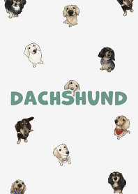 dachshund6 - white smoke
