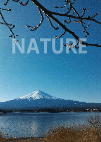 The nature05