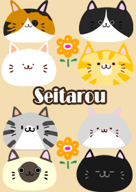 せいたろう用北欧風かわいいネコの着せかえ