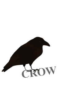 Crow black