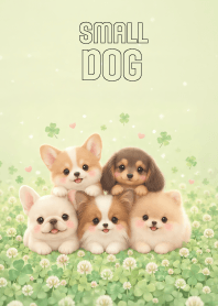 Cute Small Dog Gang In Clover Land