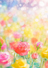 Beautiful rose flower(R3582)