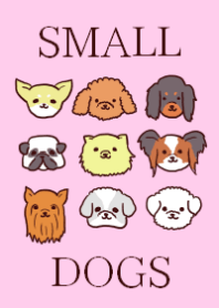 小型犬着せ替え Line 着せかえ Line Store 小型犬着せ替え Line 着せかえ Line Store