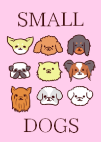small dogs theme