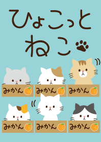 ひょこっとねこ