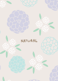 Many round flowers3 from Japan