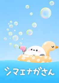 The sea, soap bubbles, and Shimaenaga
