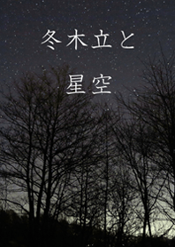 冬木立と星空＠冬特集