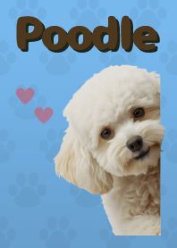 ธีมพุดเดิ้ลทอย Blue 01