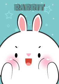 กระต่ายขาว น่ารักแล้ว1