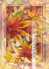 天然のカエデの葉