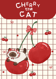 Cherries the Cat - Siamese