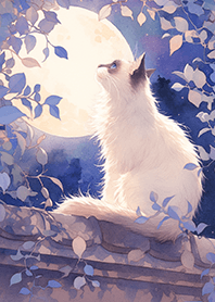 Siamese cat under the full moon_Blue