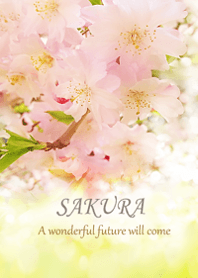 優しい幸せを運ぶ軽やかなさくらの花♪6
