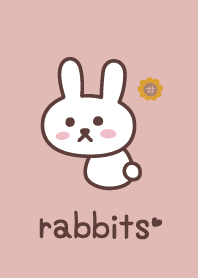 กระต่าย*สีชมพู*ทานตะวัน