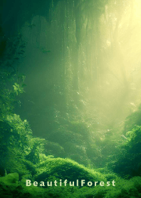 Beautiful Forest-HEALING- 30