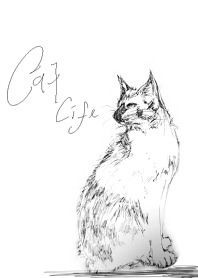 Cat every day.