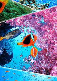 魚たちとサンゴ礁