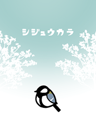 シジュウカラきせかえ