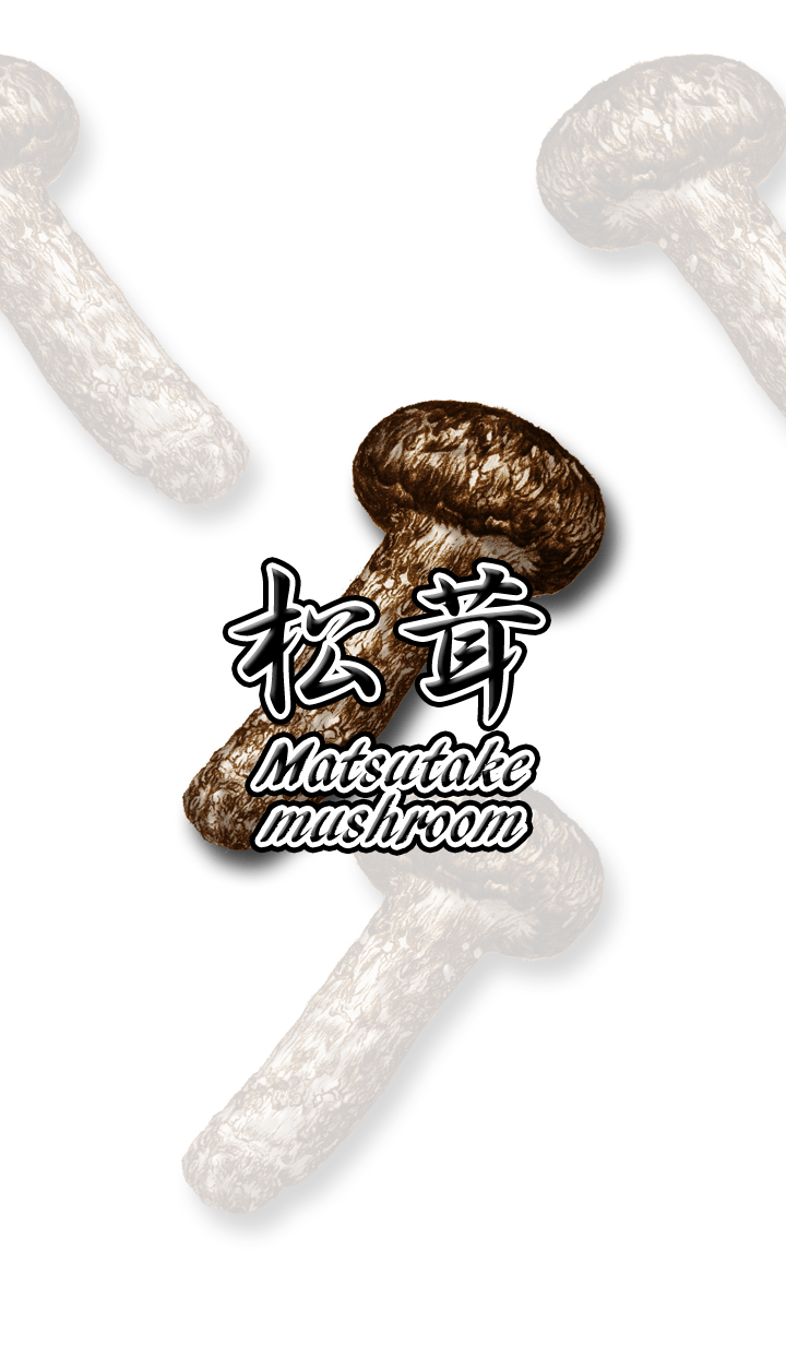 Matsutake mushroom (international)