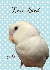 Love Bird(Yuki)
