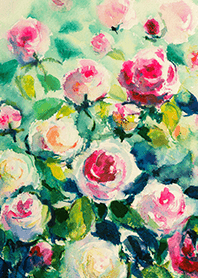 Beautiful rose flower(R4187)