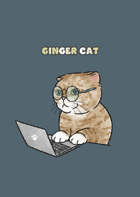 gingercat9 - dark steel blue