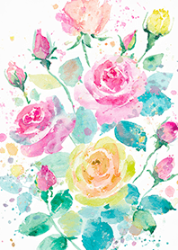 Beautiful rose flower(R4975)