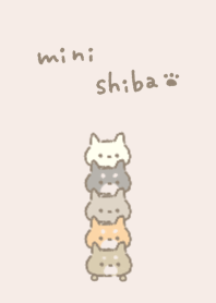 Little shiba inu