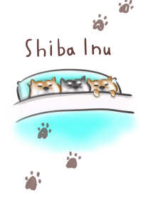 柴犬 西巴犬 簡單