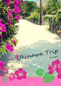 Okinawa Trip