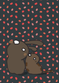 rabbit starig and cat - dazzled