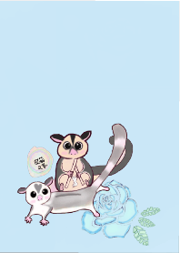 蜜袋鼯主題2