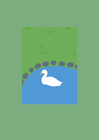 Duck Garden