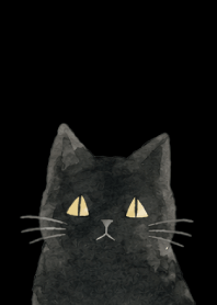 A unique cat05 black