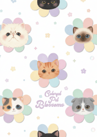 Colorful Pet Blossoms