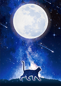 グングン運気上昇✨満月とネコ