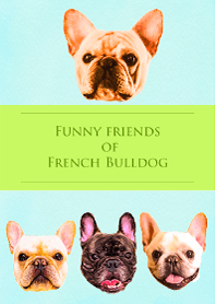 Funny Friends of French Bulldog