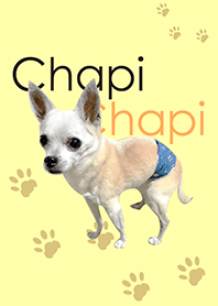 CHAPI's Theme