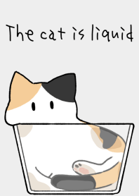 The cat is liquid [calico]