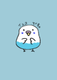 インコです。(青色)